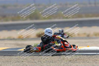 media/Mar-29-2025-Pro Autosports (Sat) [[89b1c017ad]]/6-Purple Group/Qualifying Session/